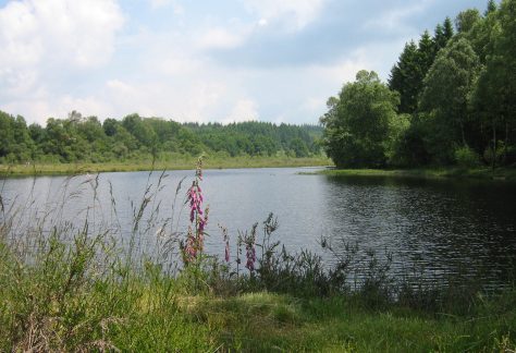 etang bourdeau03