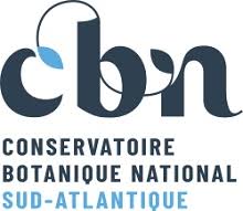 CBN NA_logo
